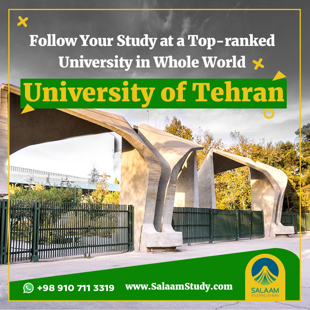 university of salaam study